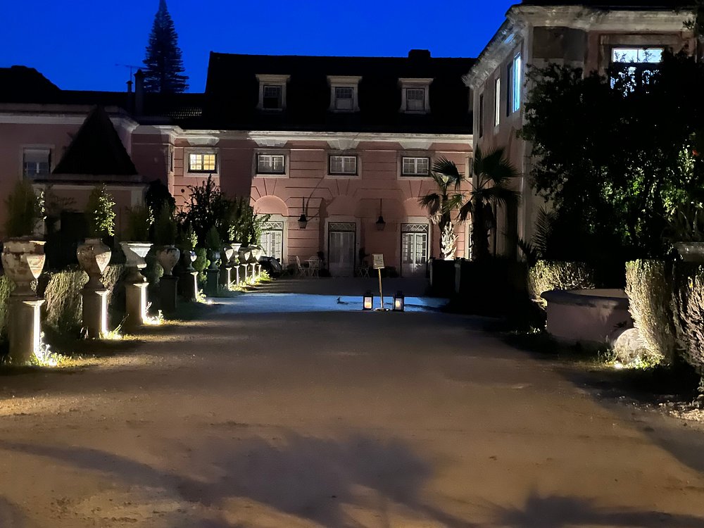 Best Restaurants in Lisbon