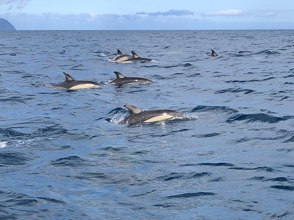 How to Get to Azores