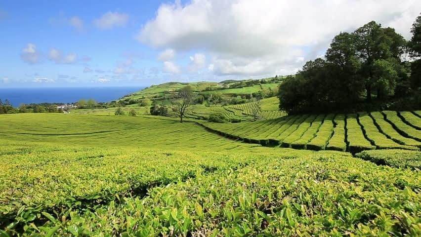 Best Hotels Azores